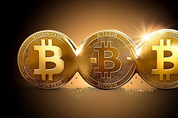bitcoin ve gümrük tarifesi